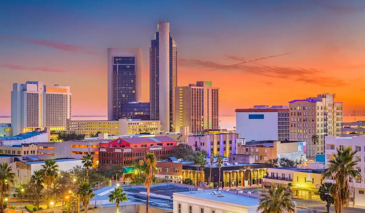 Corpus Christi, Texas marina — local market snapshot
